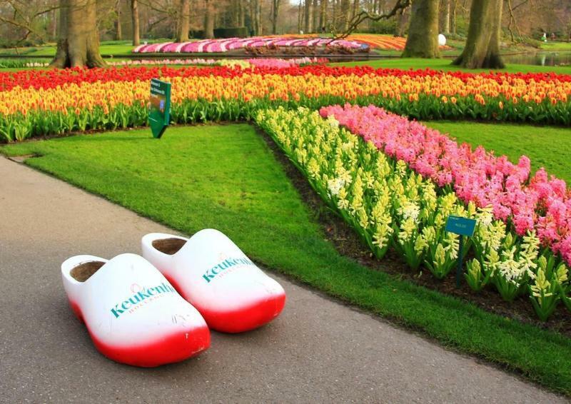 Grand Hotel Huis Ter Duin Noordwijk Zewnętrze zdjęcie Keukenhof